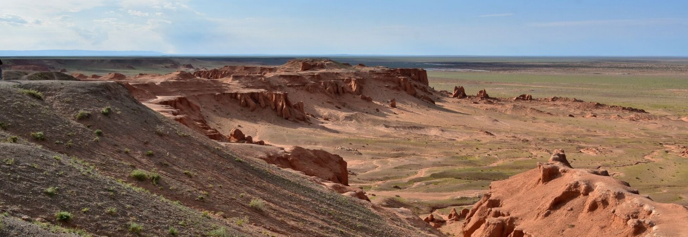 arid, desert habitat