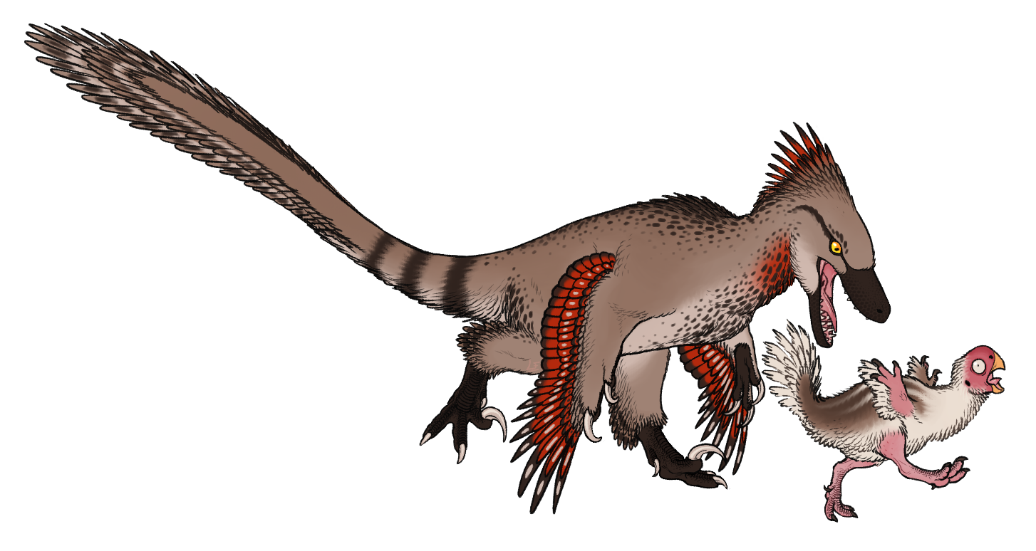 Ochre hunting an oviraptor.