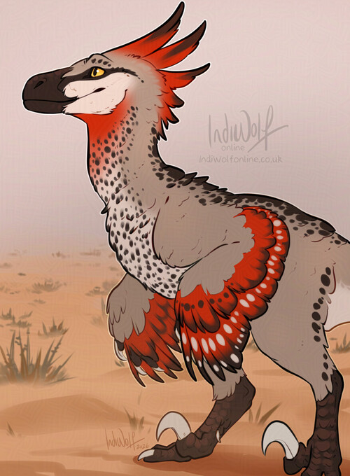 Ochre in the desert